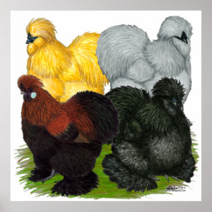 Silkies: Assorted Roosters Poster