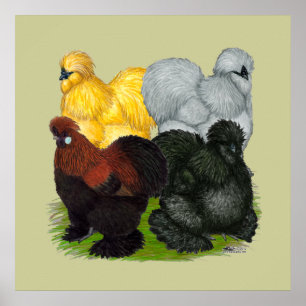Silkies: Assorted Roosters Poster