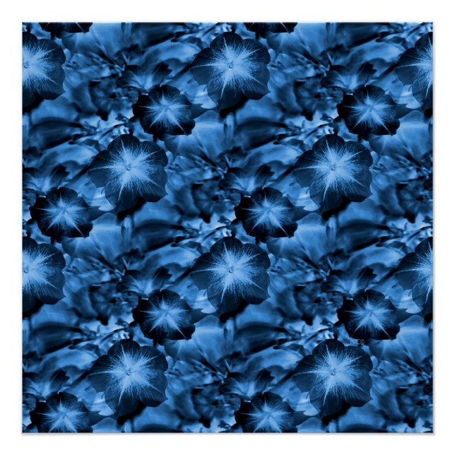 Silky Blue... Poster (Front)