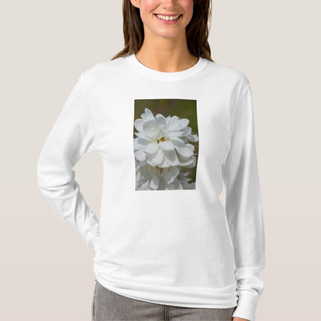 Silky Magnolia Long Sleeve T-Shirt (Front)