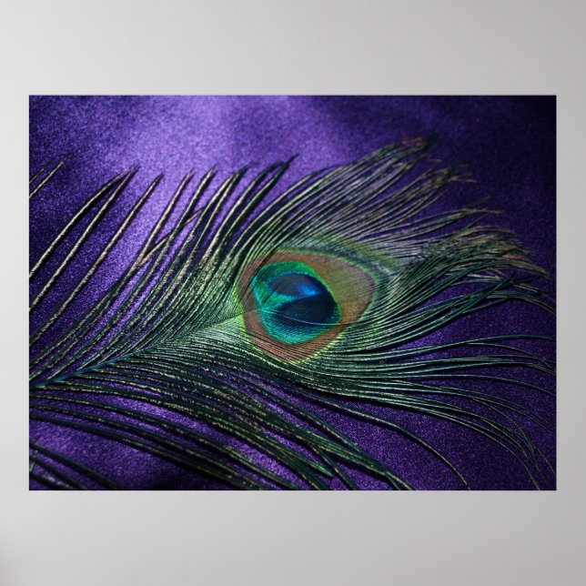 Silky Purple Peacock Feather Poster (Front)