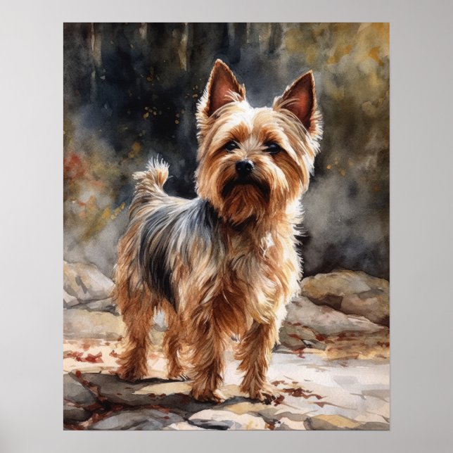 Silky Terrier Dog Art Print Poster (Front)