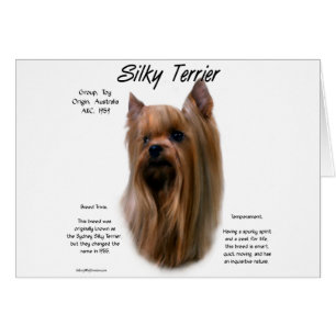Silky Terrier History Design