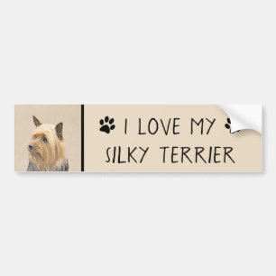 Silky Terrier Painting - Cute Original Dog Art Bumper Sticker