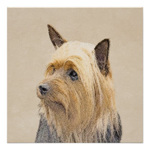 Silky Terrier Painting - Cute Original Dog Art Poster