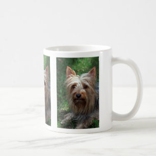Silky Toy Terrier Coffee Mug