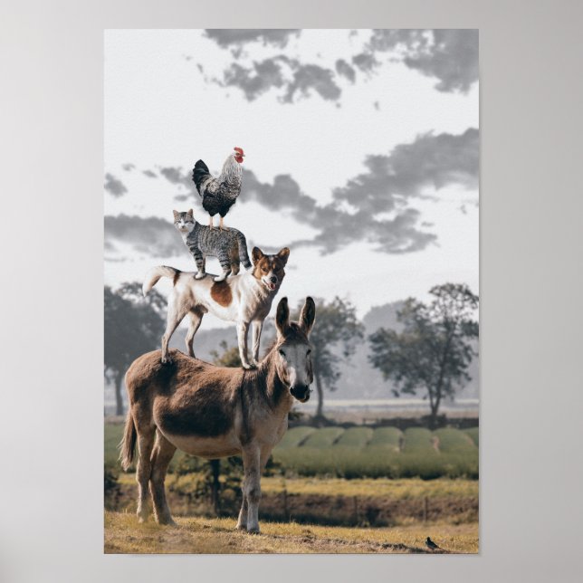 Silly Animal Poster (Front)