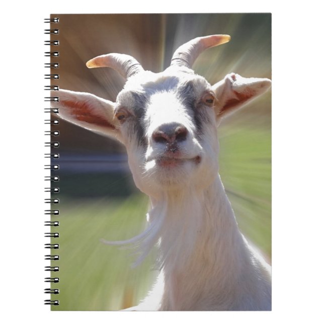 Silly BillyGoat Photograph Notebook (Front)