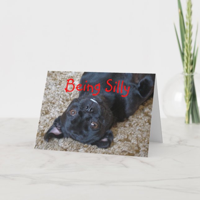 Silly Buggs dog, customise any occasion Card (Front)