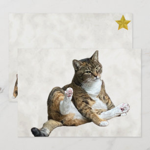 Silly Cat Pose - Annie's Flat Greeting Card