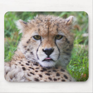 Silly Cheetah Cub Mouse Pad