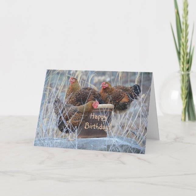 Silly Chickens Birthday Card (Front)