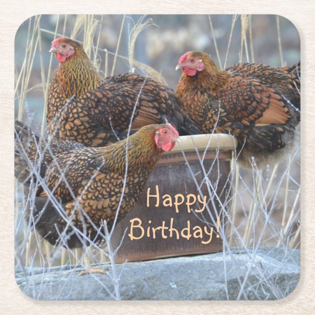 Silly Chickens Birthday Square Paper Coaster (Front)