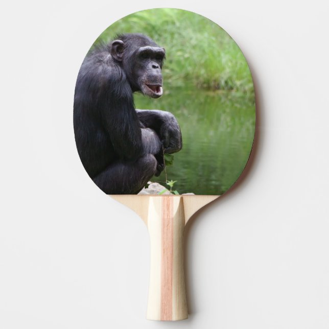 Silly Chimpanzee Ping Pong Paddle (Front)