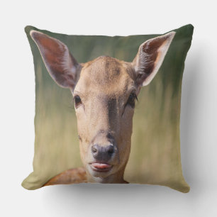 Silly Deer Cushion