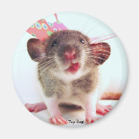 Silly Flutterby Rat
