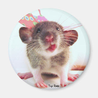Silly Flutterby Rat Magnet