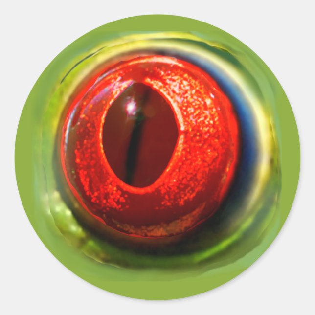 Silly Fun Realistic Quirky Red Eyed Frog Eyeball Classic Round Sticker (Front)