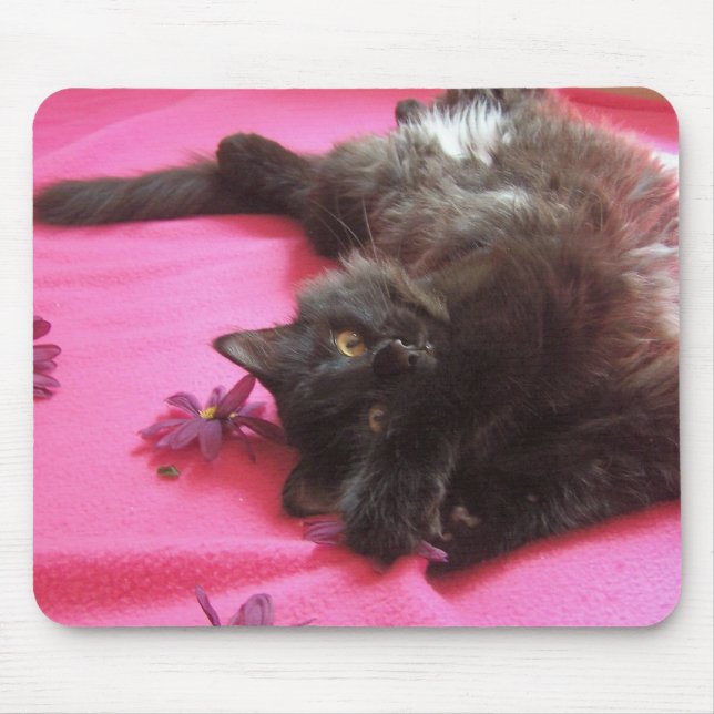 silly gal mouse pad (Front)