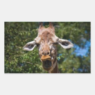 Silly Giarffe Rectangular Sticker