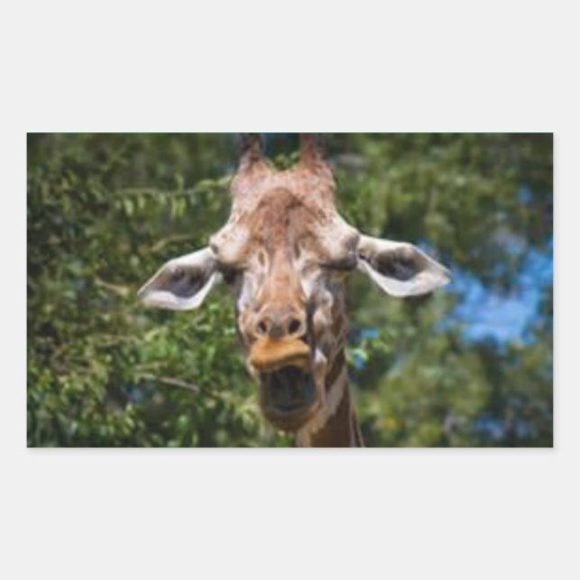 Silly Giarffe Rectangular Sticker (Front)