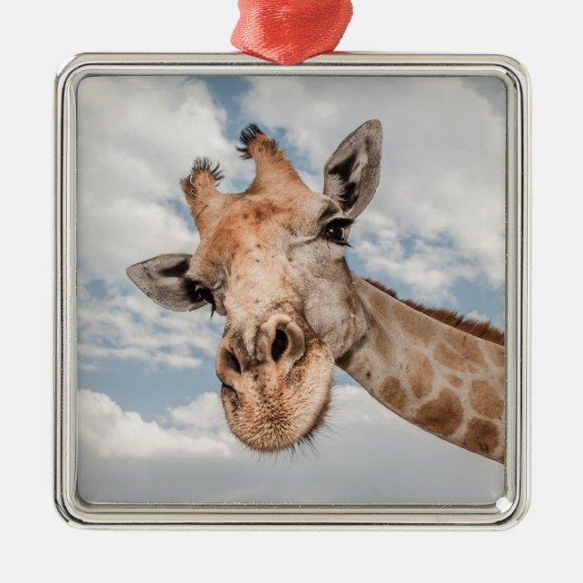 Silly Giraffe Metal Tree Decoration (Front)