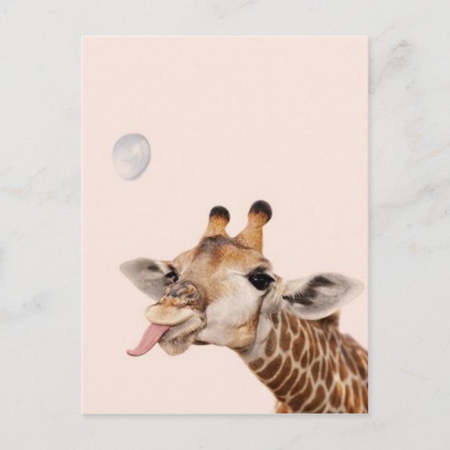 Silly Giraffe Postcard (Front)