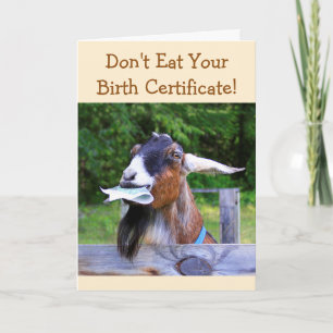 Silly Goat Birthday Card