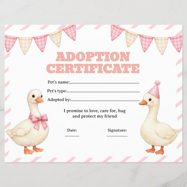 Silly goose adopt a pet certificate editable flyer (Front)