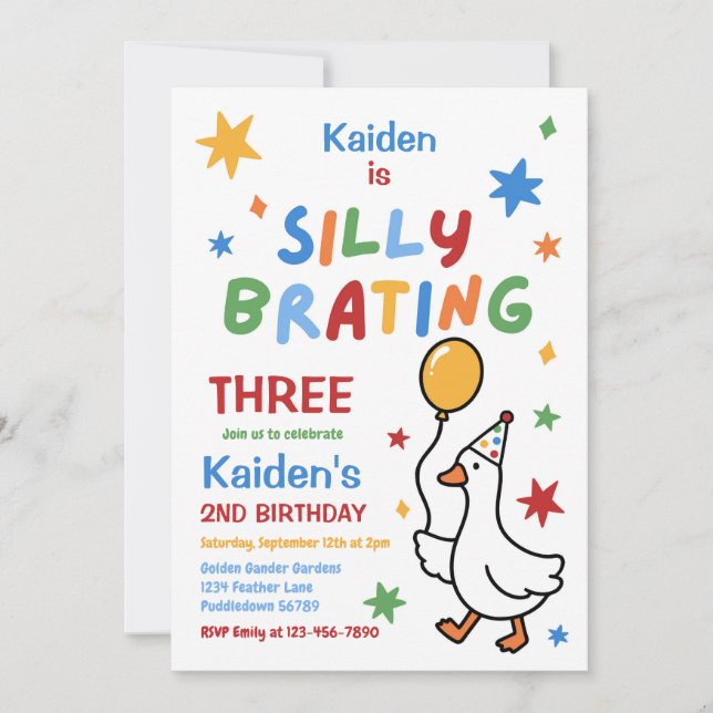 Silly Goose Boy Colourful 3rd Birthday Party  Invitation (Front)