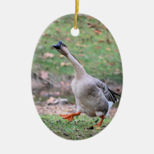 Silly goose ceramic tree decoration