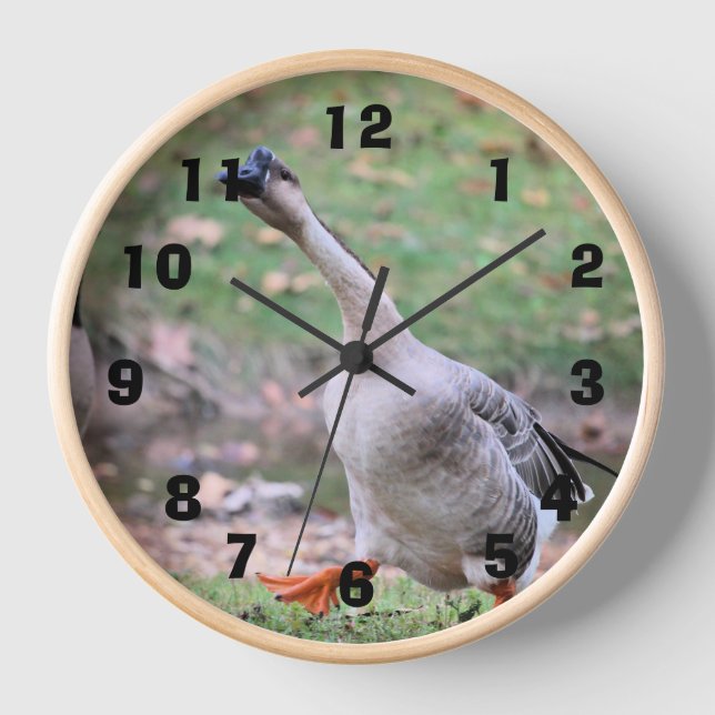 Silly goose    clock (Front)