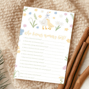 Silly Goose Gingham Baby Shower Who Knows Game