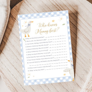 Silly Goose Gingham Baby Shower Who knows Game
