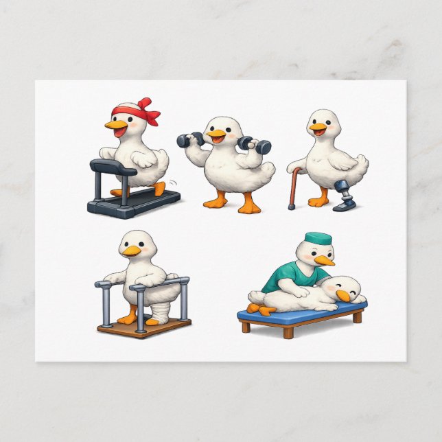 Silly Goose Physical Therapy , Physical Therapist  Postcard (Front)