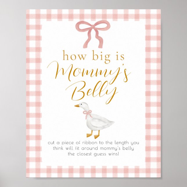 Silly Goose Pink Gingham Belly Measure Game Sign (Front)