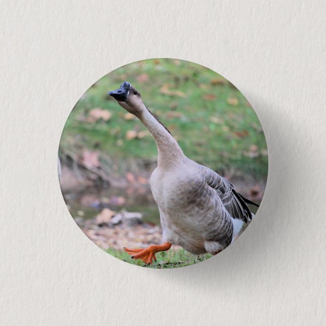 Silly goose   silver plated necklace 3 cm round badge (Front)