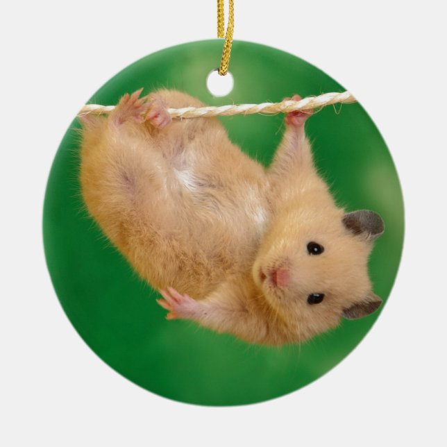 silly hampster ceramic tree decoration (Front)