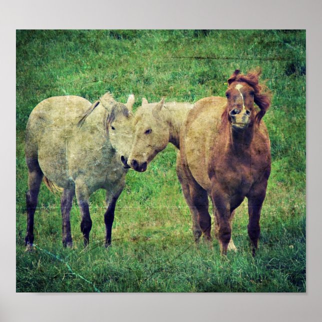 Silly Horses Poster (Front)