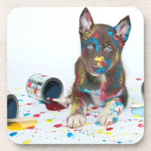 Silly Husky Puppy got into Paint Buckets Coaster