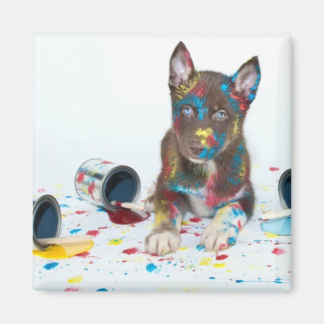 Silly Husky Puppy got into Paint Buckets Magnet (Front)