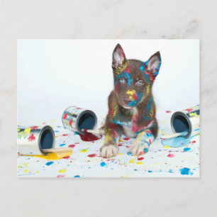 Silly Husky Puppy got into Paint Buckets Postcard