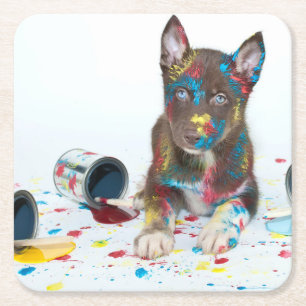 Silly Husky Puppy got into Paint Buckets Square Paper Coaster