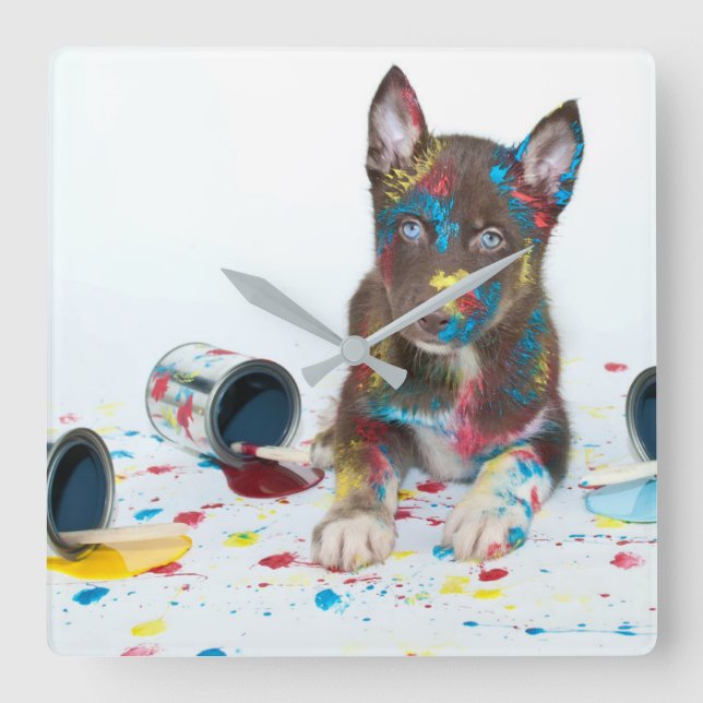 Silly Husky Puppy got into Paint Buckets Square Wall Clock (Front)