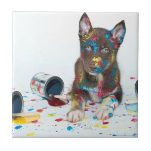 Silly Husky Puppy got into Paint Buckets Tile