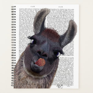 Silly Llama Planner