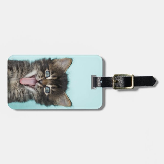 Silly Merlin Kitten Luggage Tag (Front Horizontal)