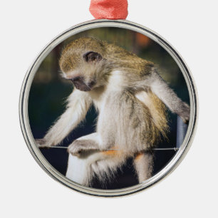 Silly Monkey Metal Tree Decoration