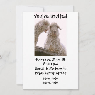 Silly Old Goats Invitation