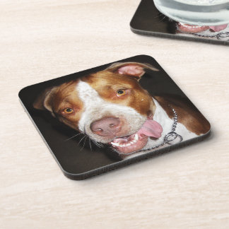 Silly Pitbull Portrait Coaster